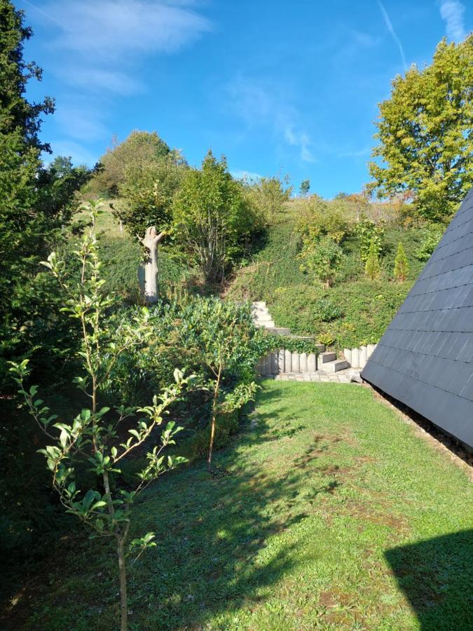 Haus Am See Willingen Willingen  Exterior foto