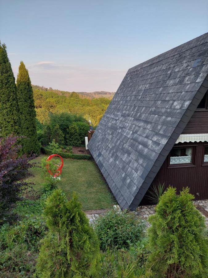 Haus Am See Willingen Willingen  Exterior foto